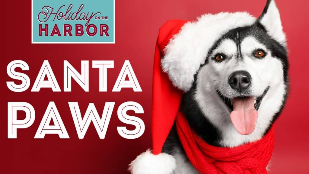 Santa Paws at Harbor Walk in Destin, FL