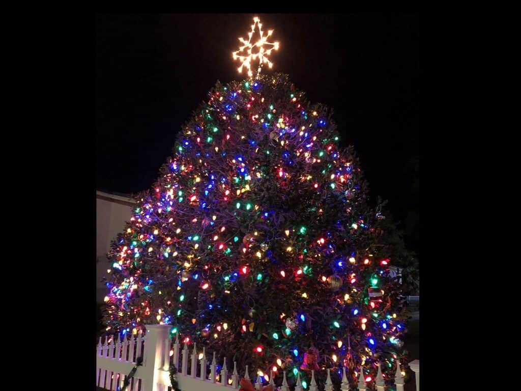 City of Destin 35th Annual Tree Lighting Ceremony