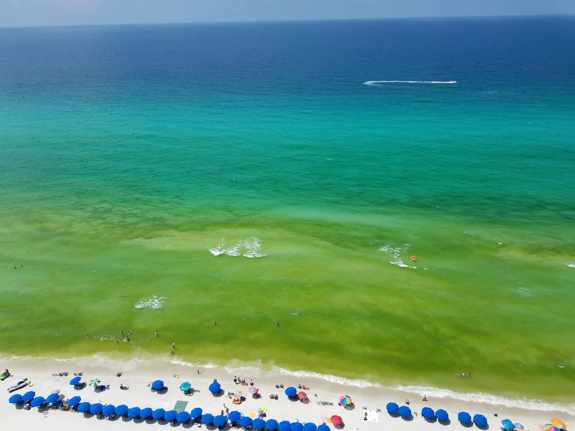 What Is June Grass When Will The June Grass Go Away Emerald Destin